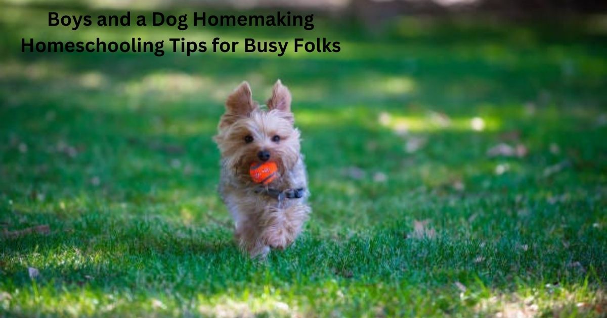 Boys and a Dog Homemaking Homeschooling Tips for Busy Folks