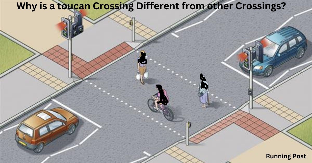 Why is a toucan Crossing Different from other Crossings