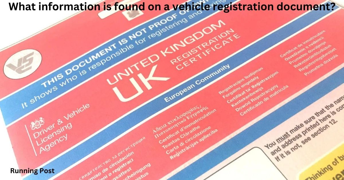 What information is found on a vehicle registration document