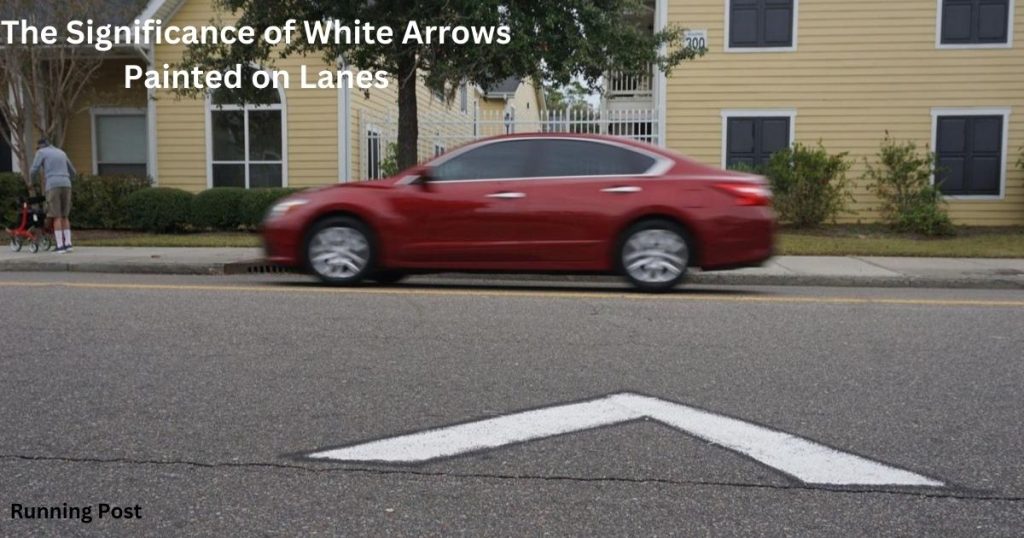 The Significance of White Arrows Painted on Lanes