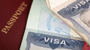 Egypt Visa Eligibility Checker Tool: Your Guide to…