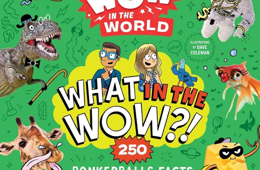 What is WowMasti?