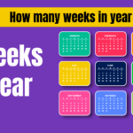 How Many Weeks in a Year? Understanding Time Calculations