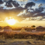 How Much Money Does Tarangire National Park Use? A Deep Dive into the Park’s Economic Impact