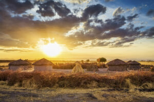How Much Money Does Tarangire National Park Use?…
