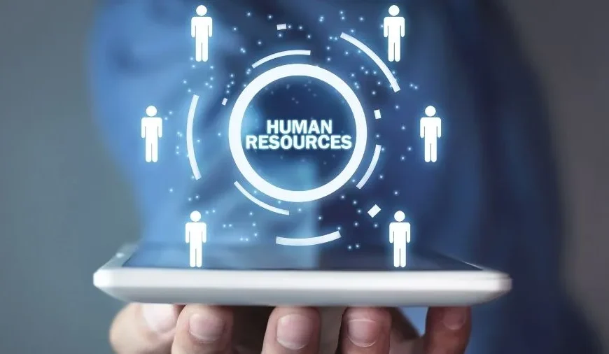 Pedrovazpaulo Human Resource Consulting: A Comprehensive…