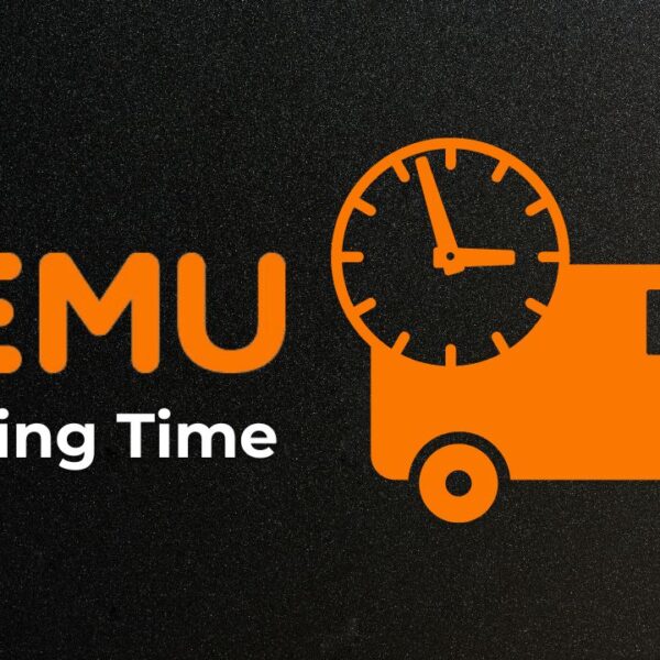 How Fast Does Temu Ship? A Comprehensive Guide…