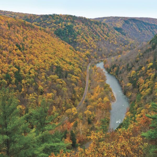 Exploring Jamestown PA County: A Hidden Gem in…