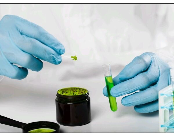 Guidelines For Beginners: How To Buy Green Maeng…