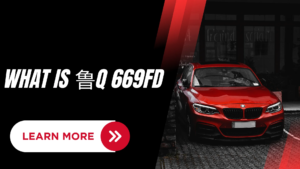 Understanding 鲁q 669fd: A Comprehensive Overview