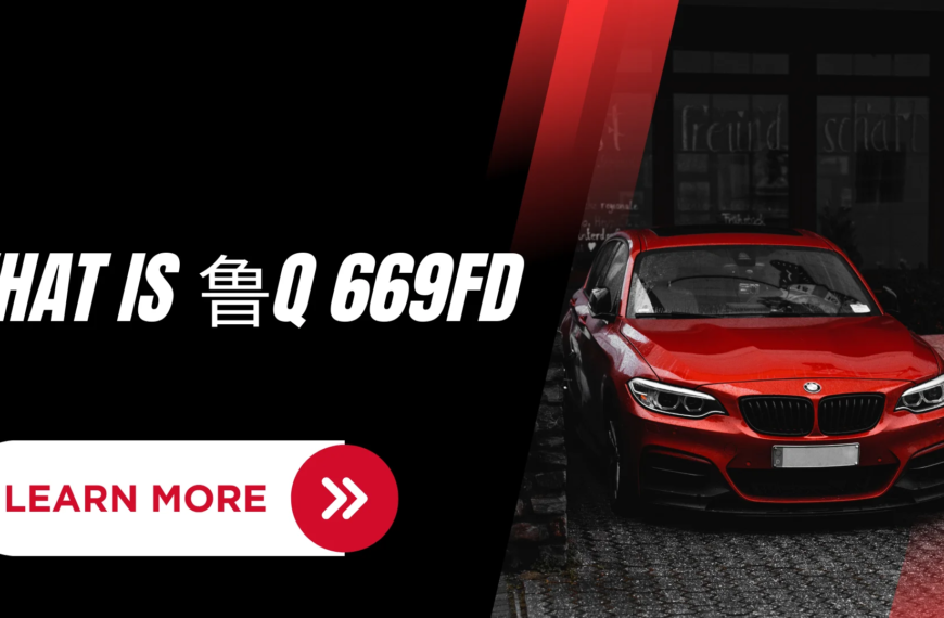 Understanding 鲁q 669fd: A Comprehensive Overview