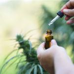 What is CBD, and why do people take it?