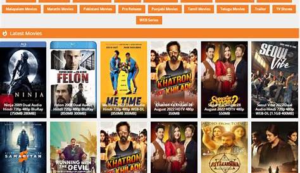 hdhub4u South Hindi Dubbed: A Gateway to Enjoying…