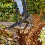 The Hidden Dangers in Your Yard: When Tree Removal Is the Smart Move in Mobile, AL