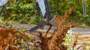 The Hidden Dangers in Your Yard: When Tree…