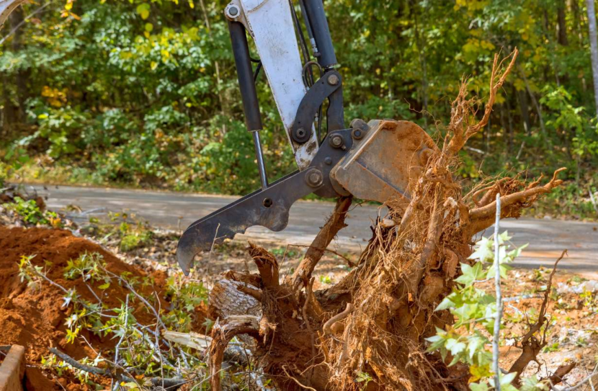 The Hidden Dangers in Your Yard: When Tree Removal Is the Smart Move in Mobile, AL